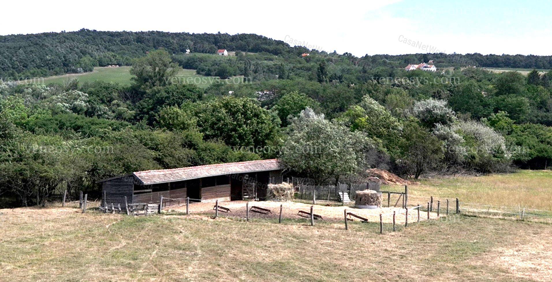 Kép 4