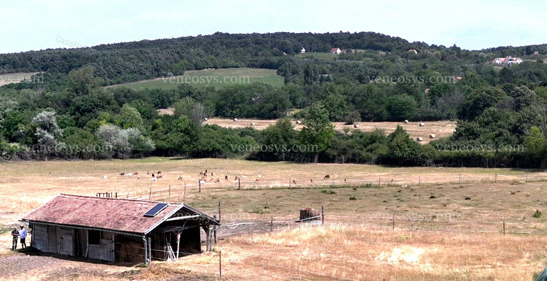 Kép 5