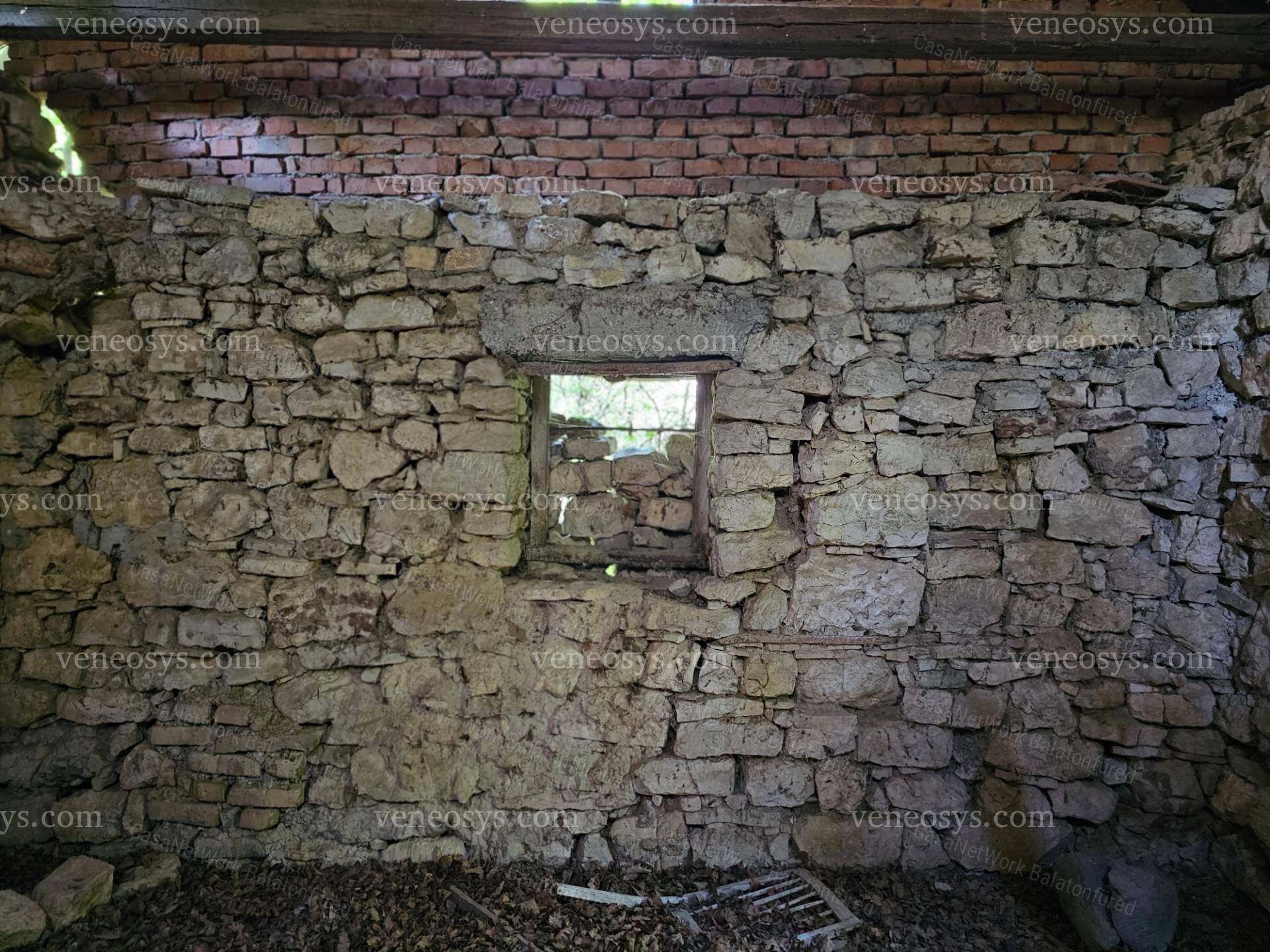 Kép 5