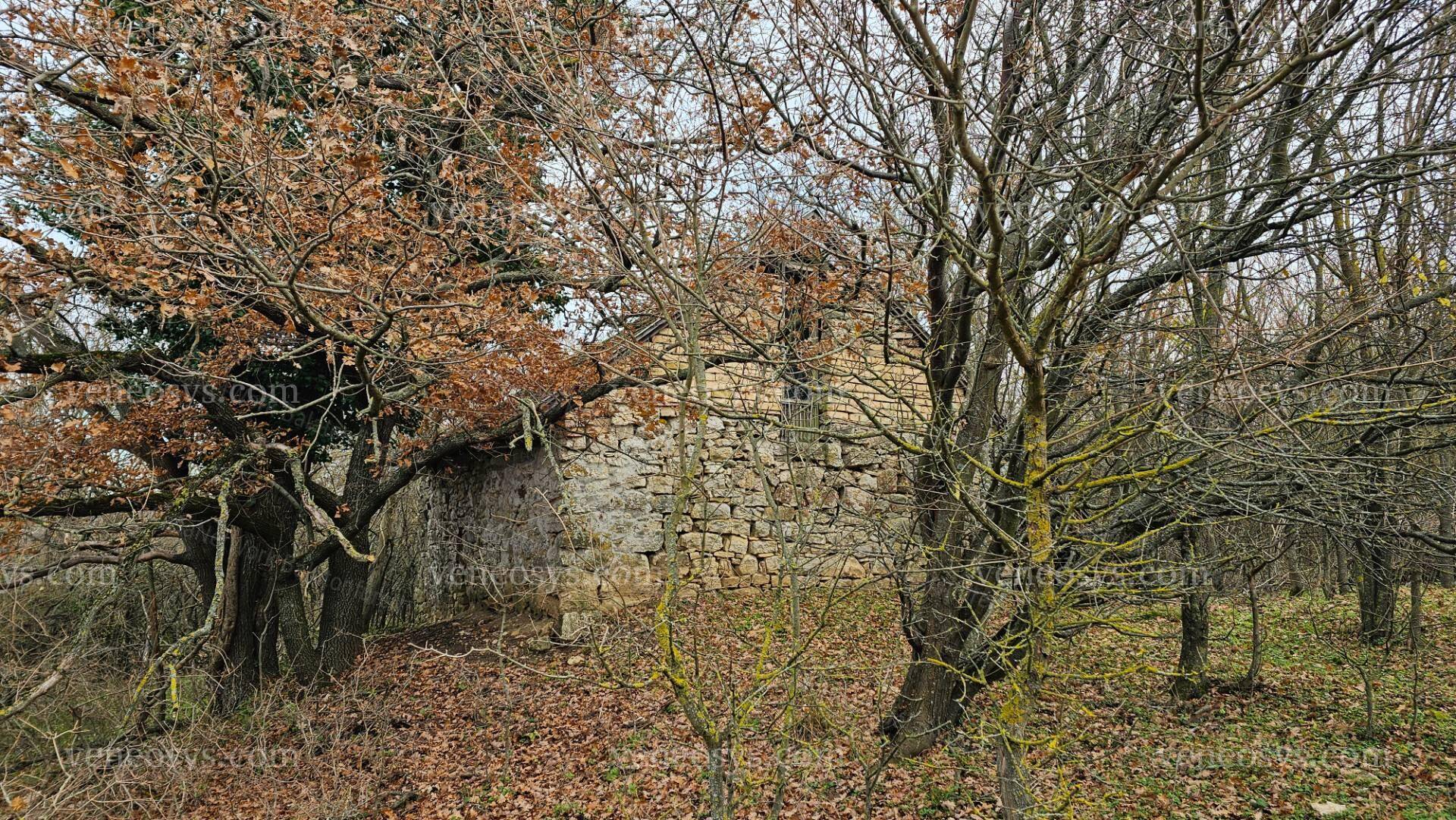 Kép 13
