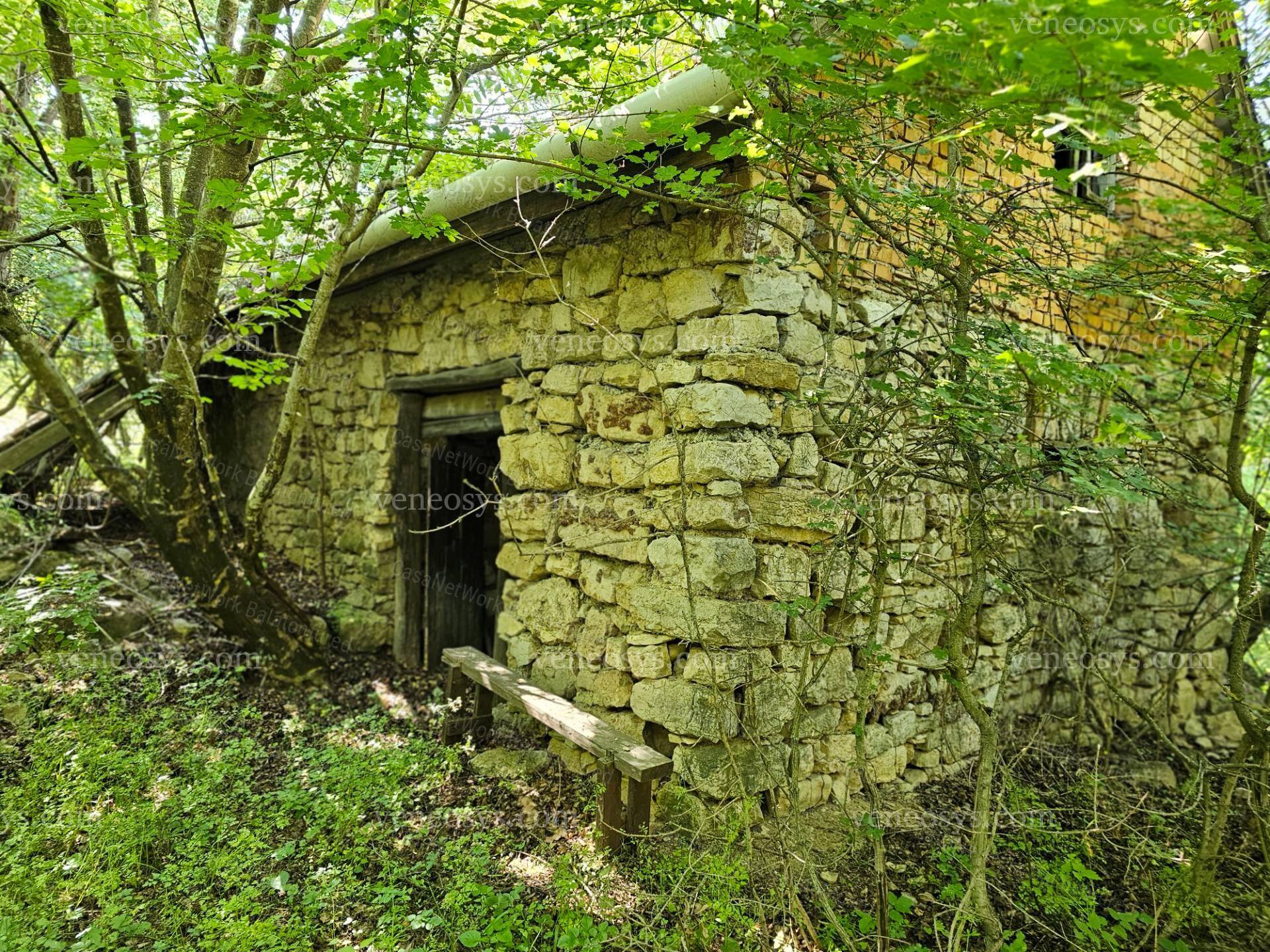 Kép 8