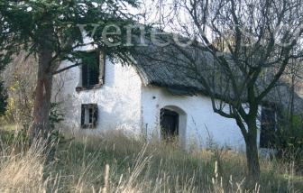 Kép 3