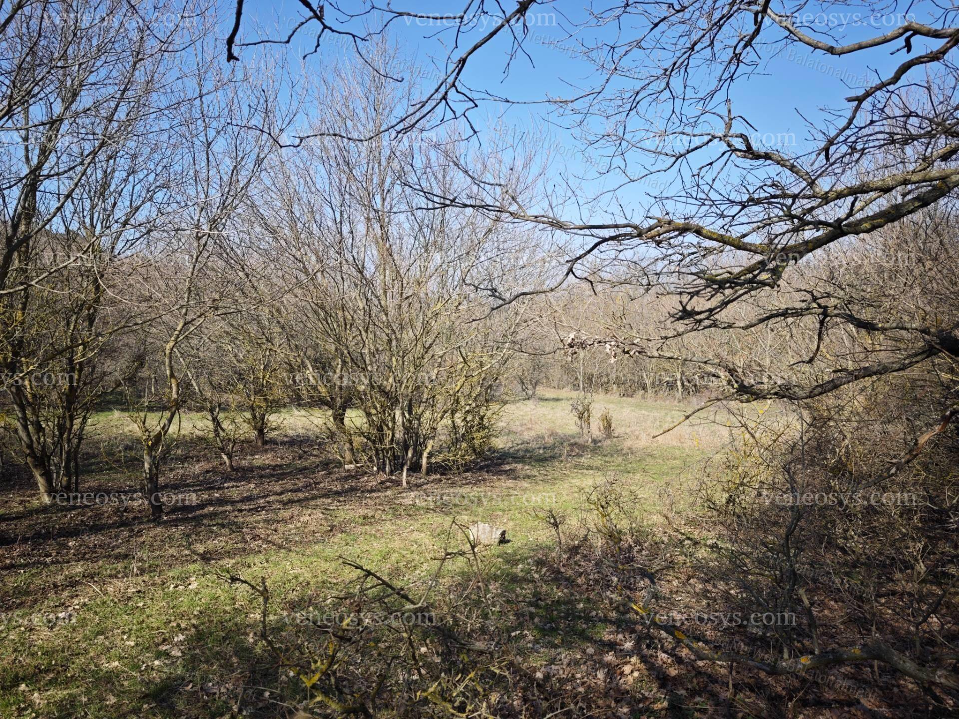 Kép 14