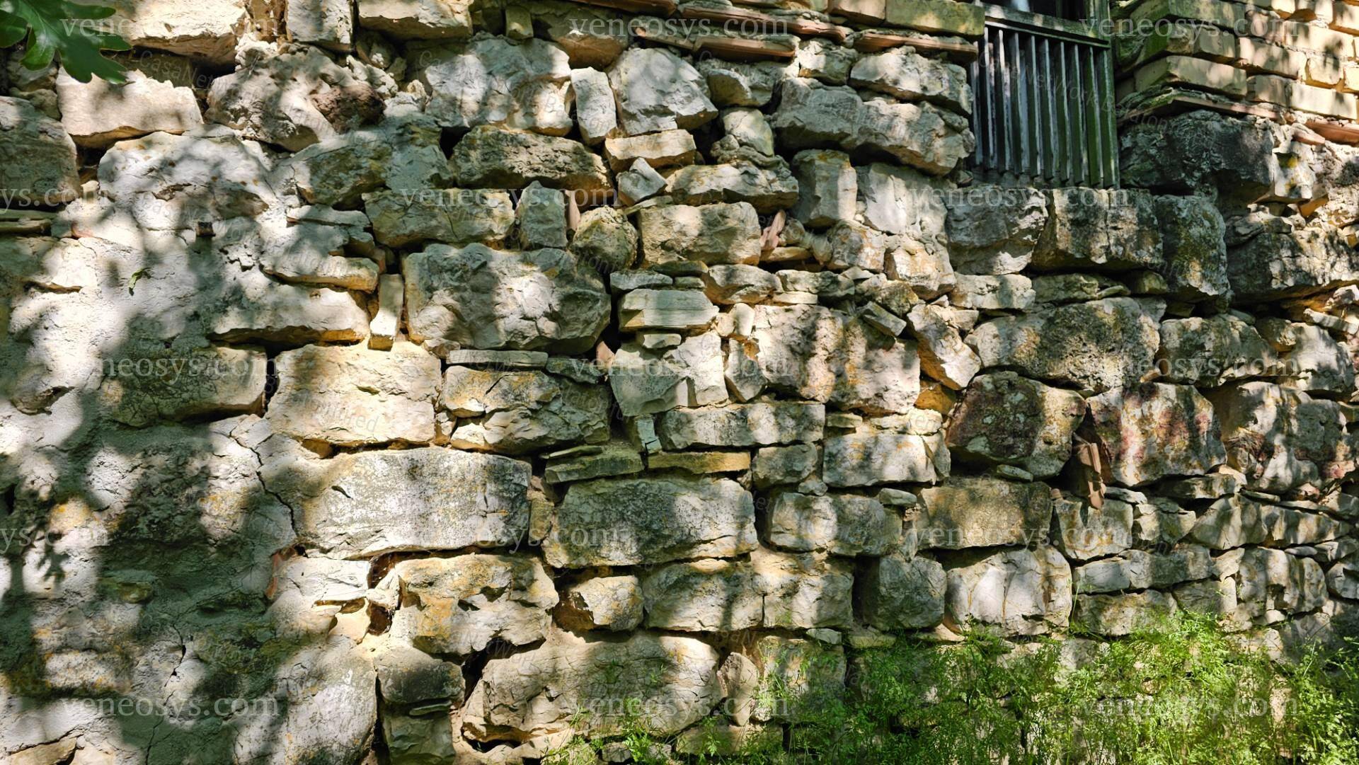 Kép 10