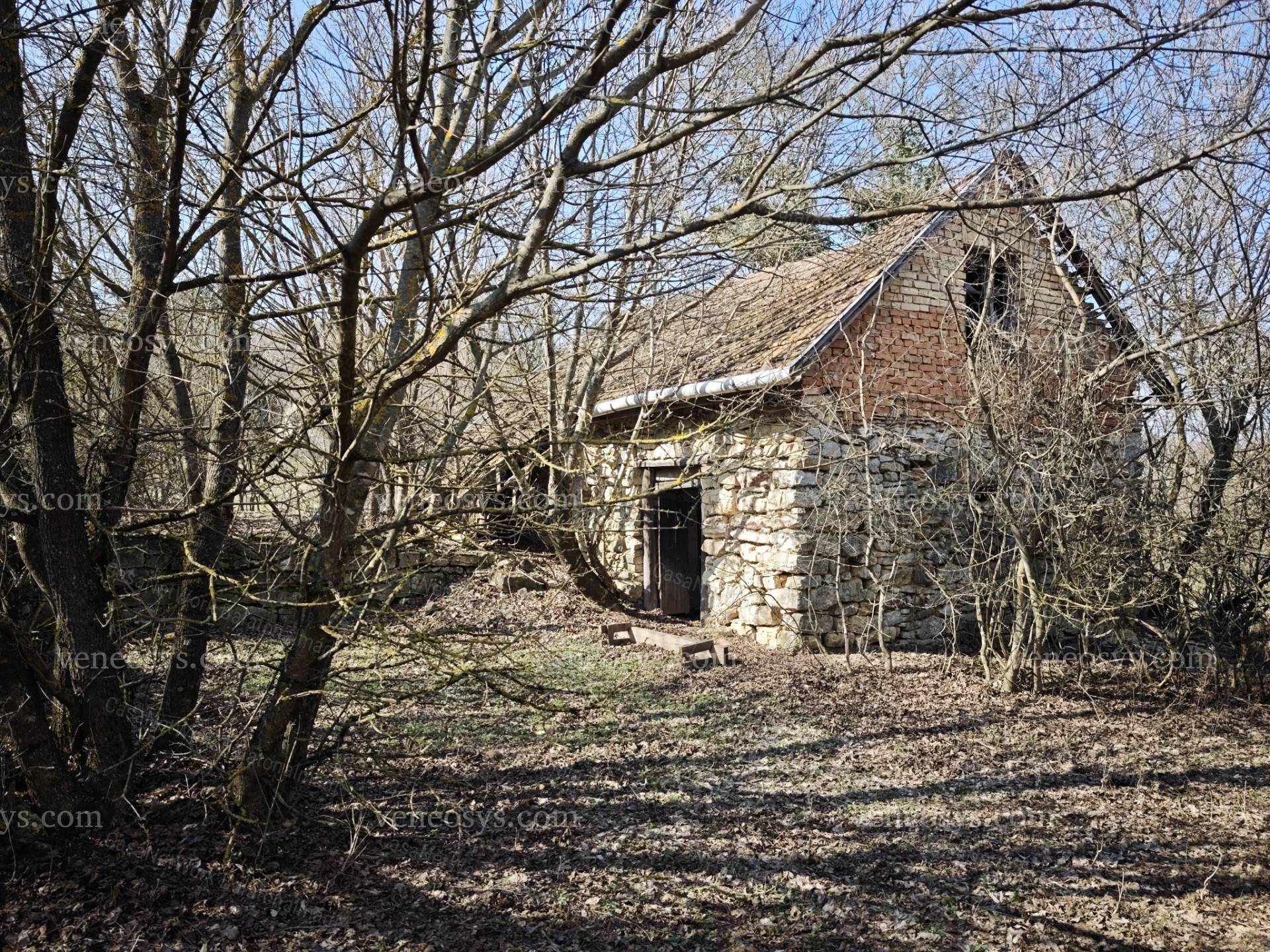 Kép 16