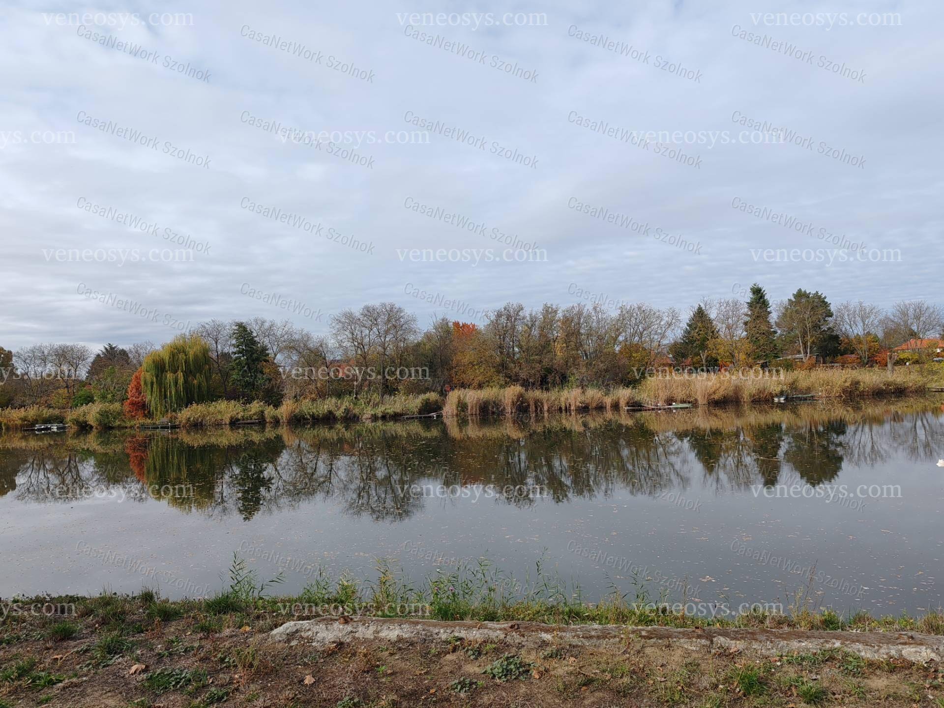 Kép 2