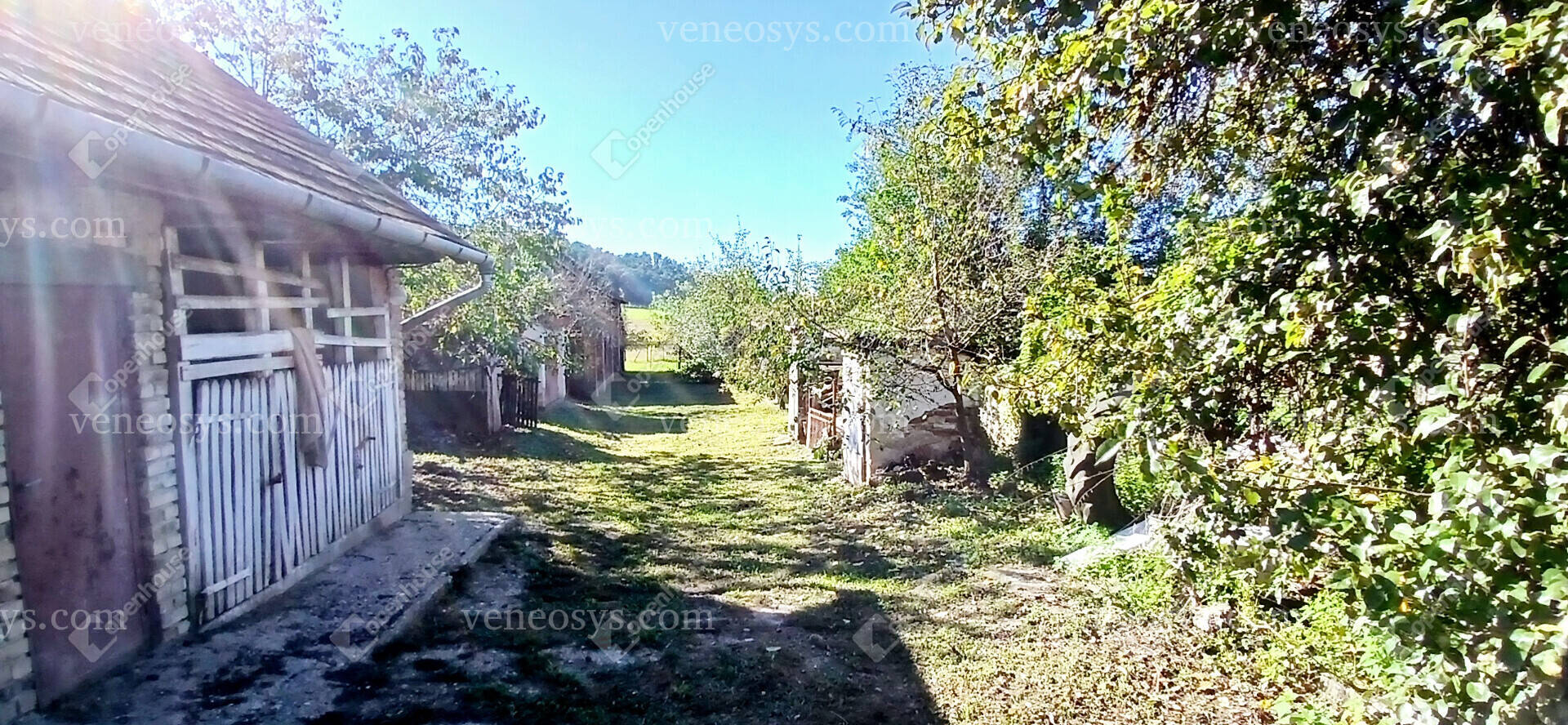 Kép 19
