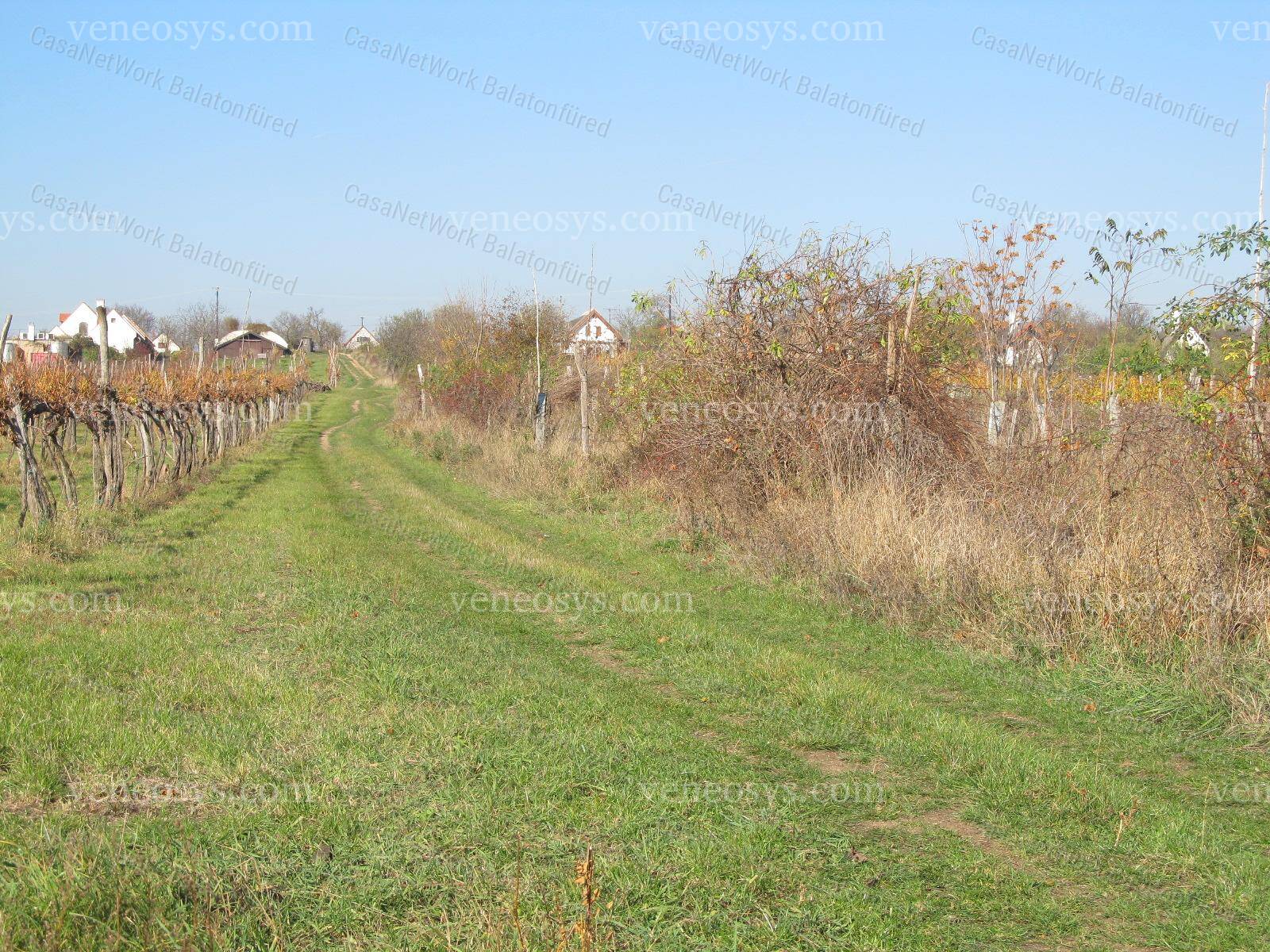 Kép 8