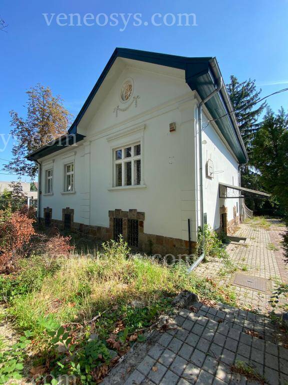 Kép 10
