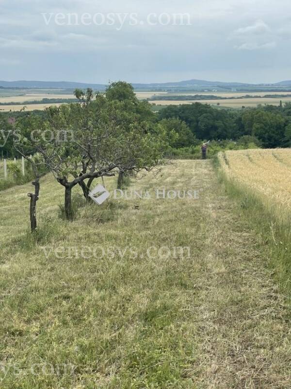 Kép 5