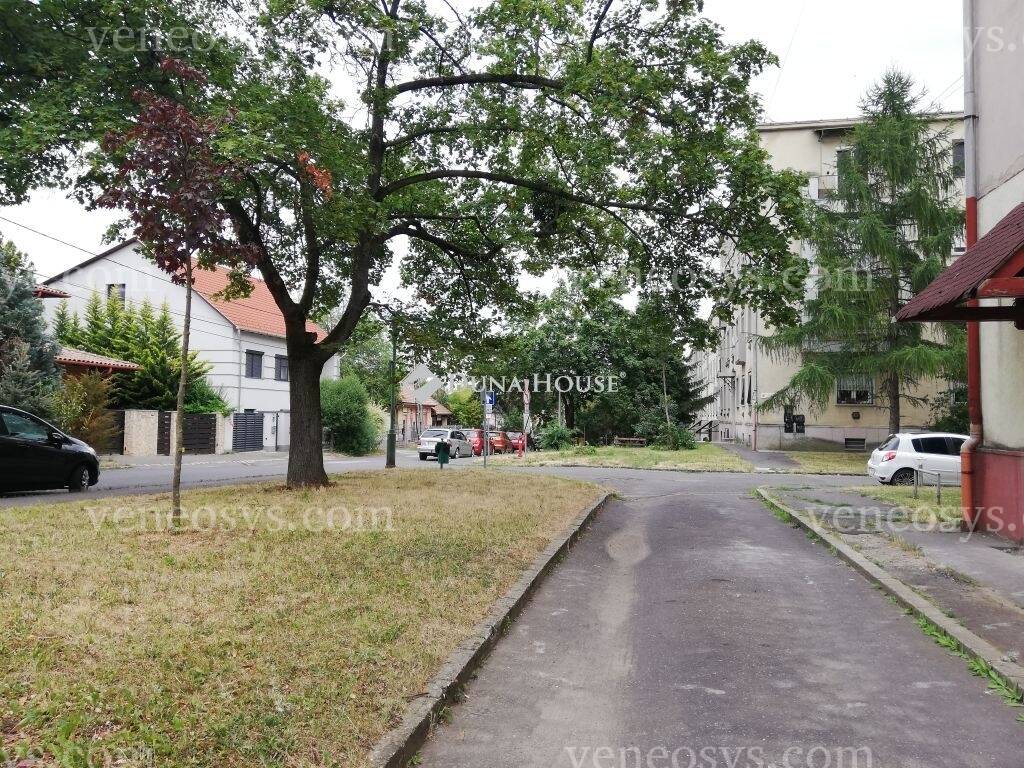 Kép 2