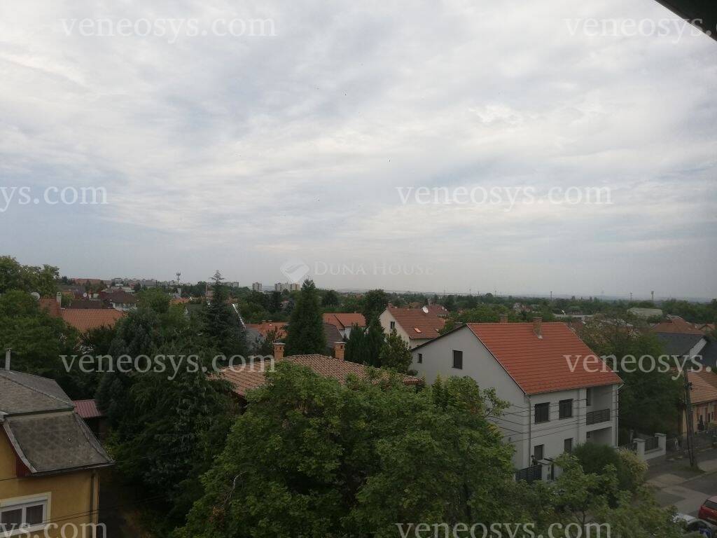 Kép 4