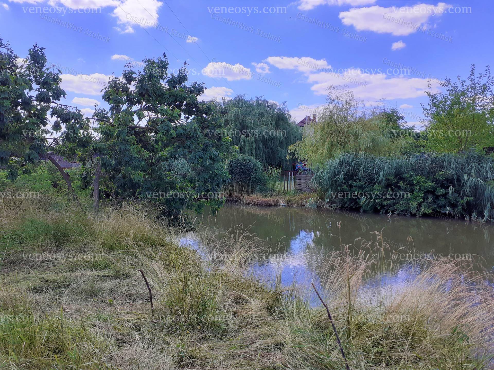 Kép 3