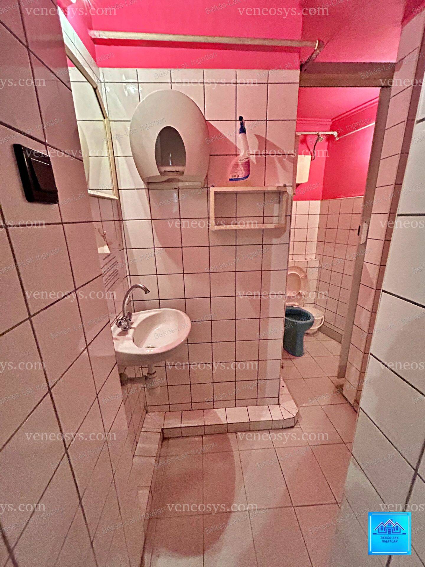 Kép 15