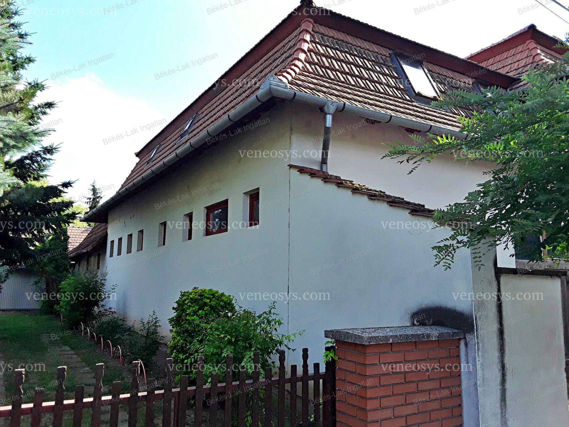 Kép 2