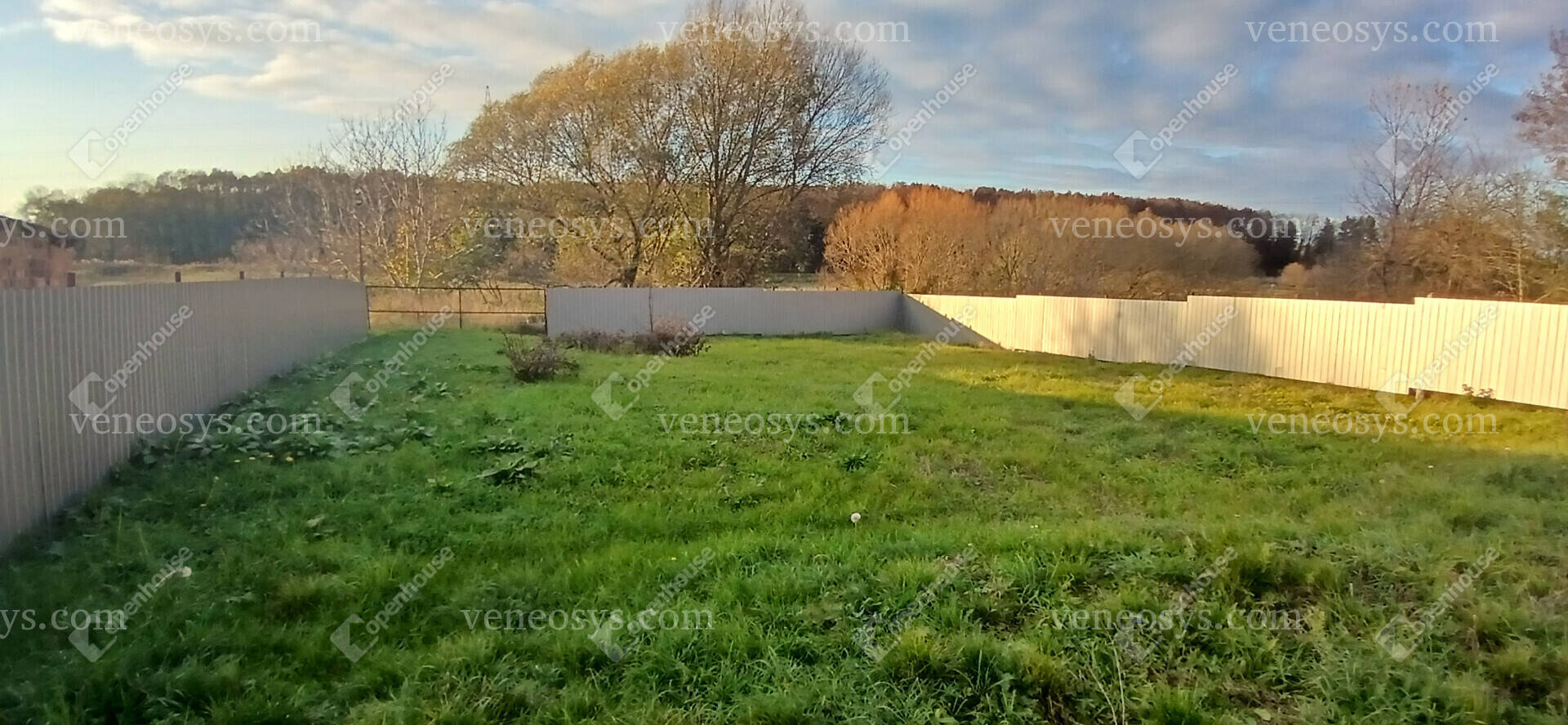 Kép 7