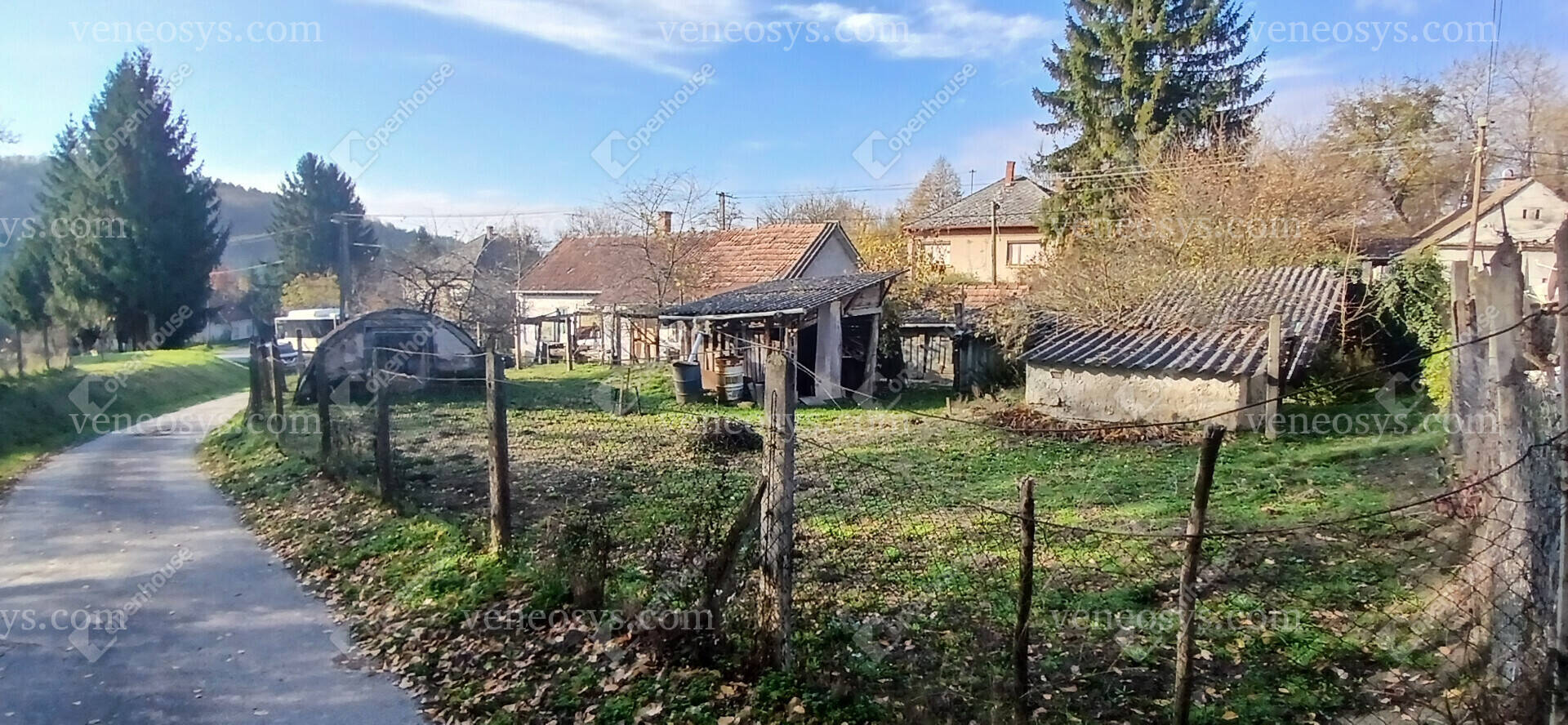 Kép 4