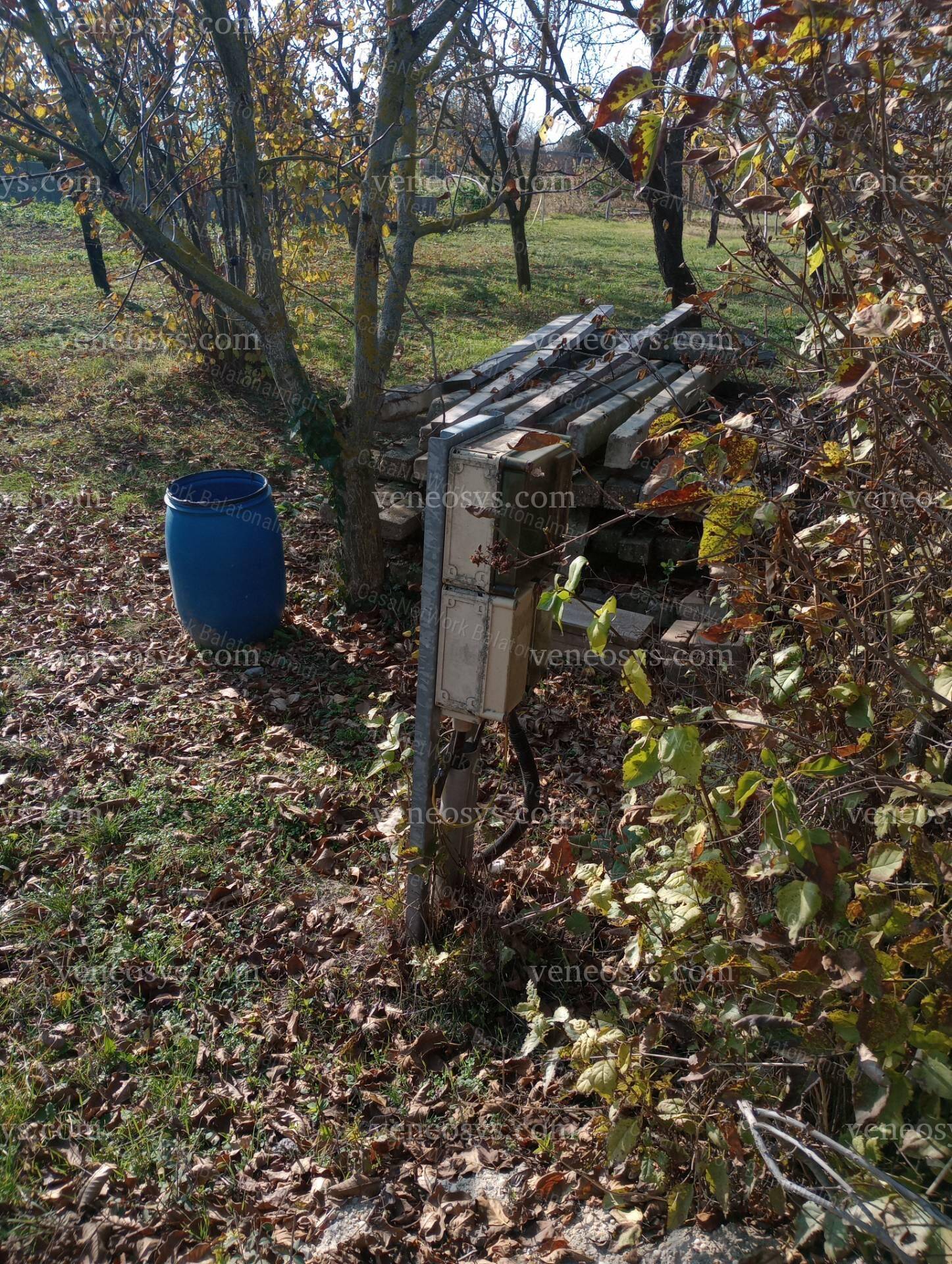 Kép 8