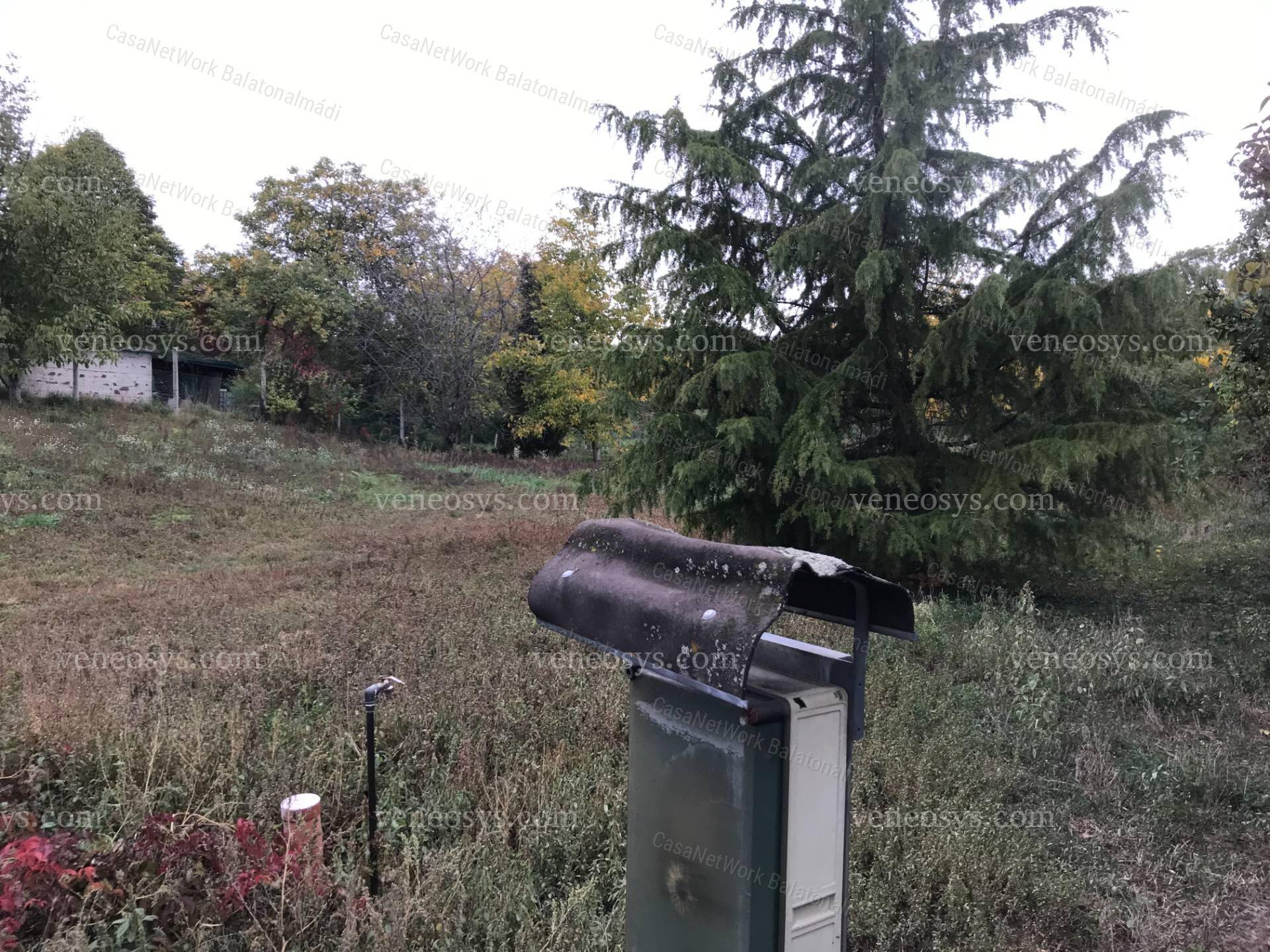Kép 8