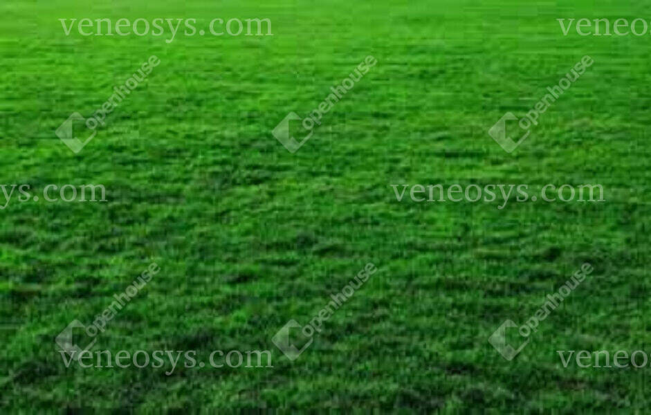 Kép 9