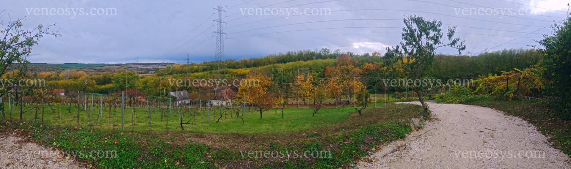 Kép 15