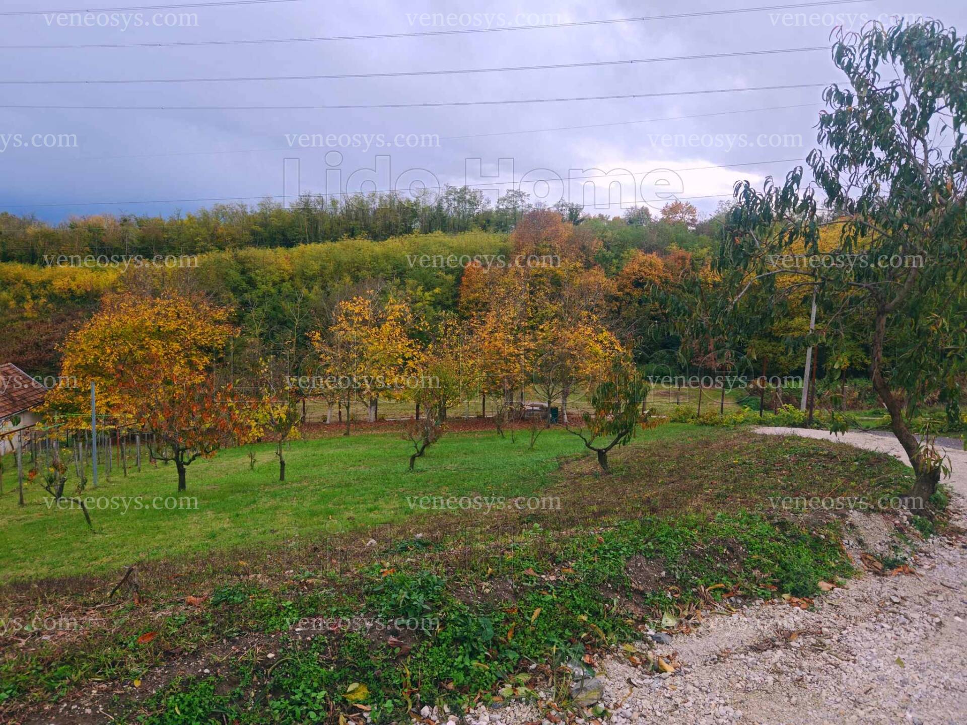 Kép 19