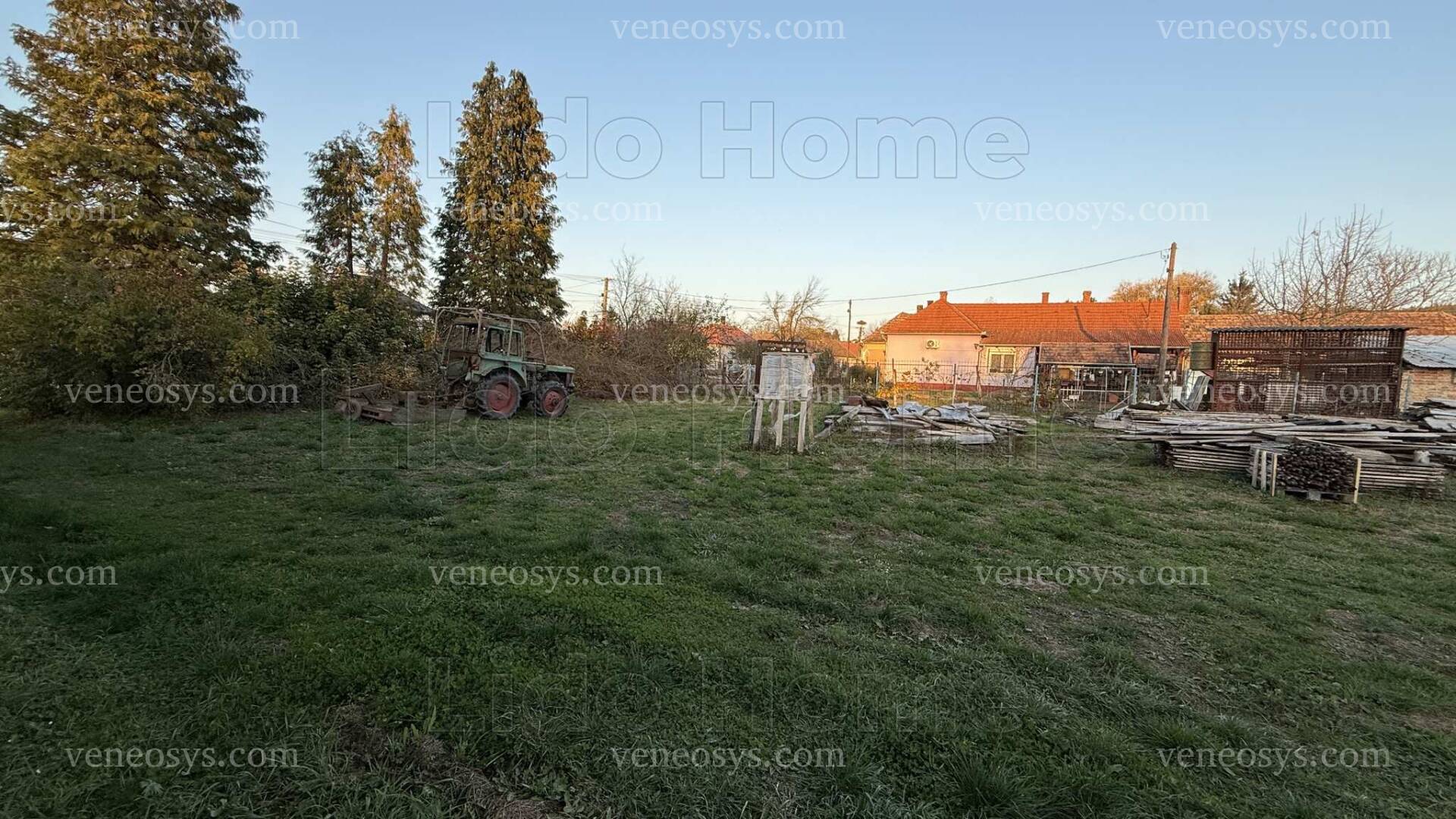 Kép 7