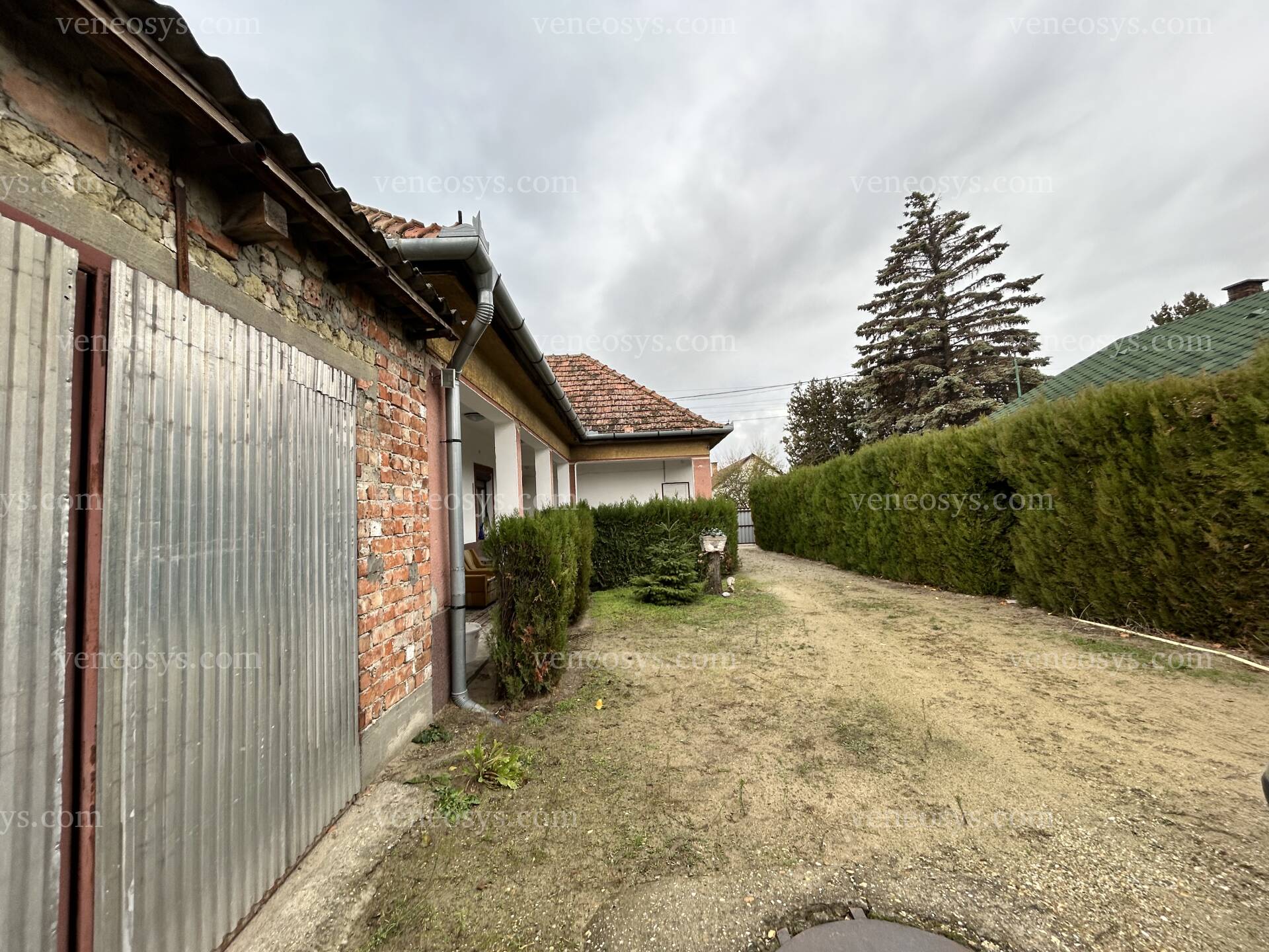 Kép 17