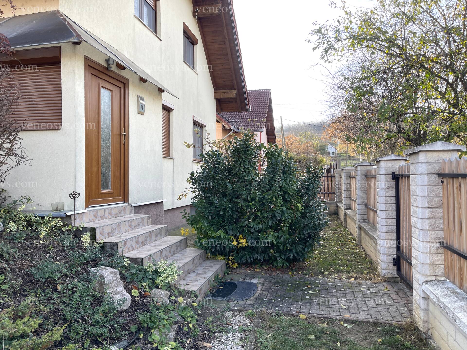 Kép 62