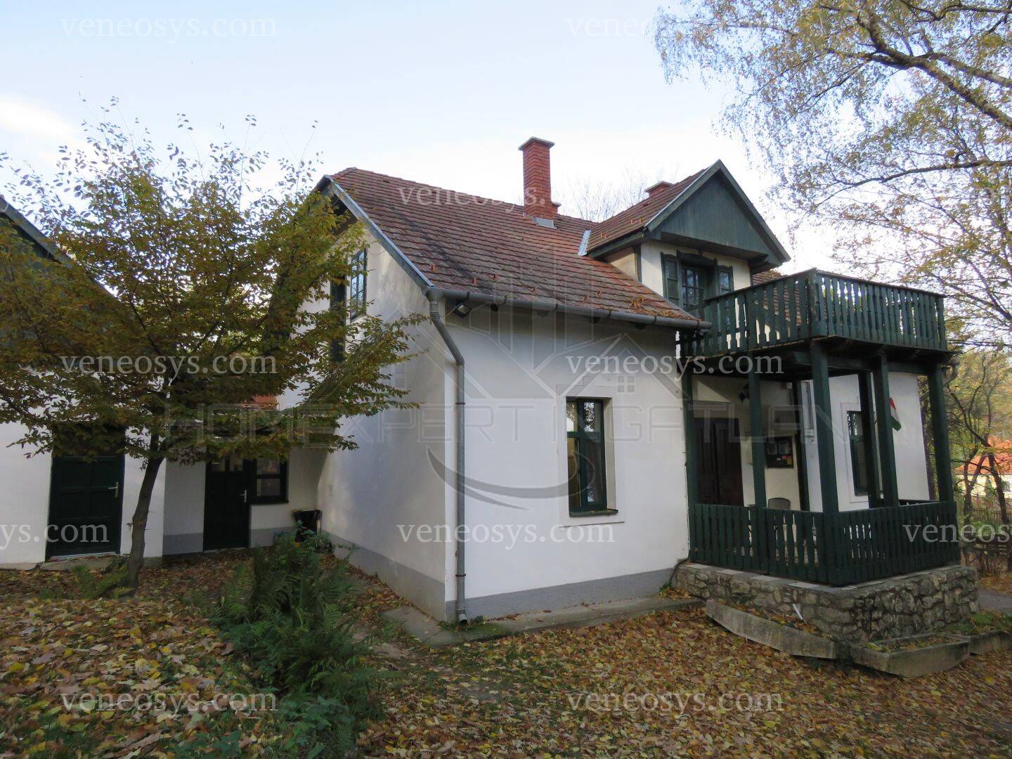 Kép 5