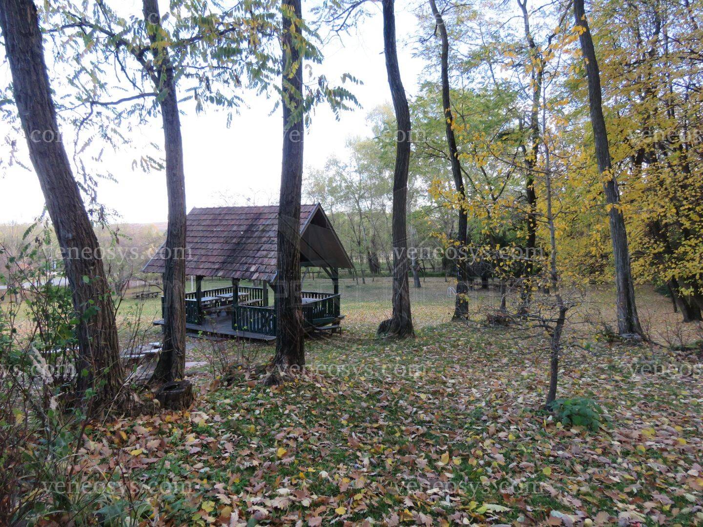 Kép 10