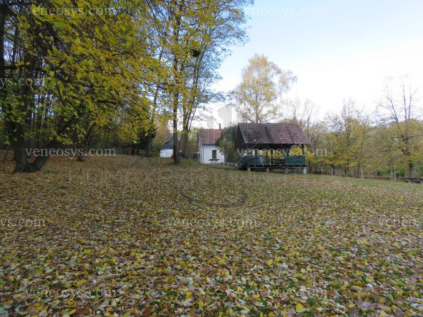 Kép 9