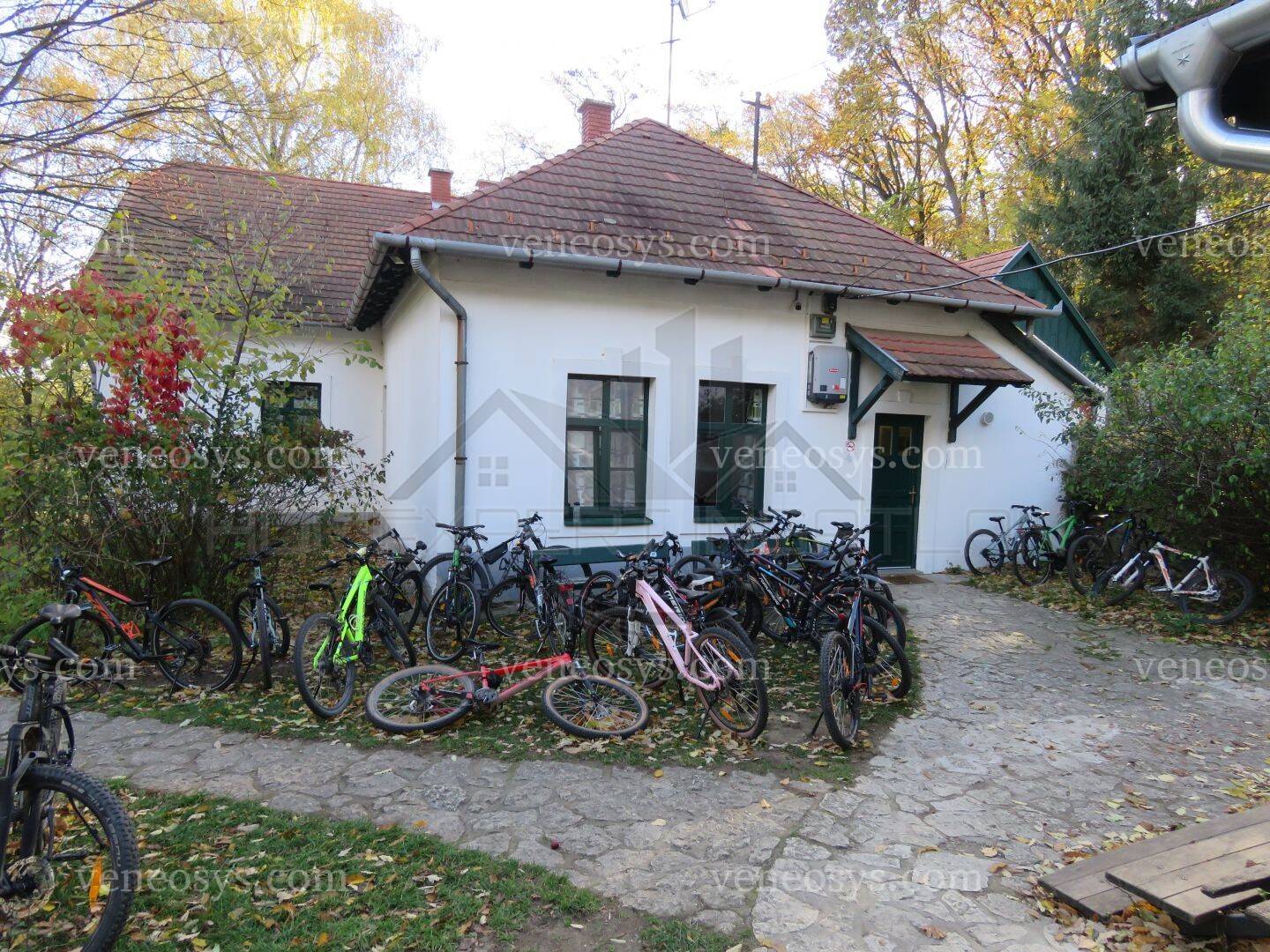 Kép 13