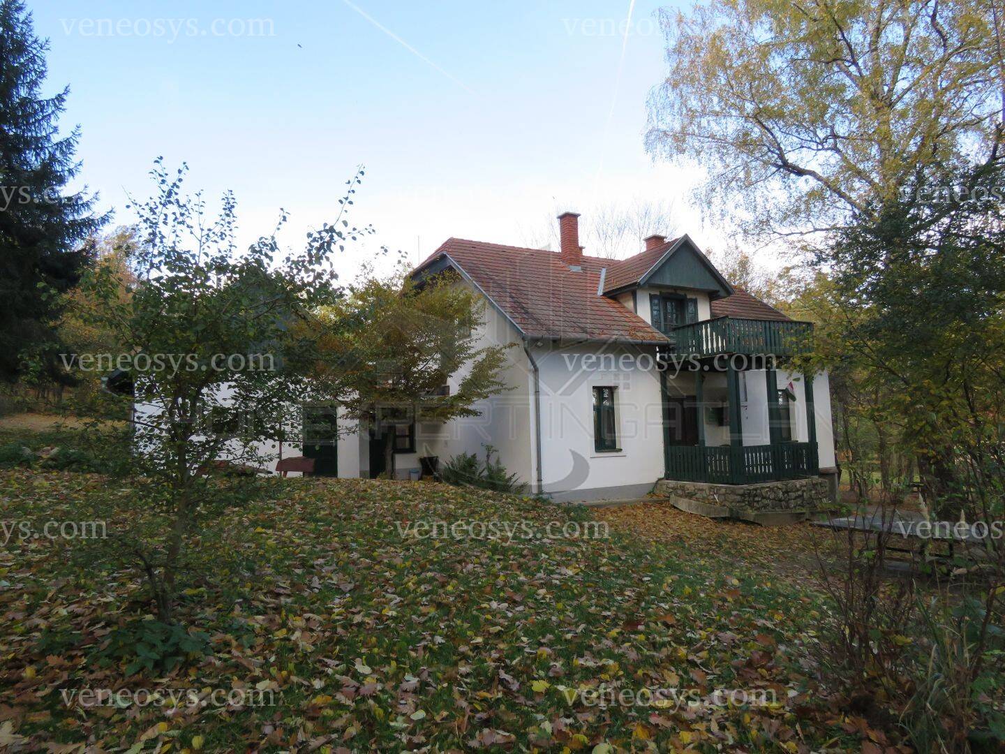 Kép 7