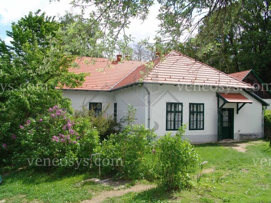 Kép 6