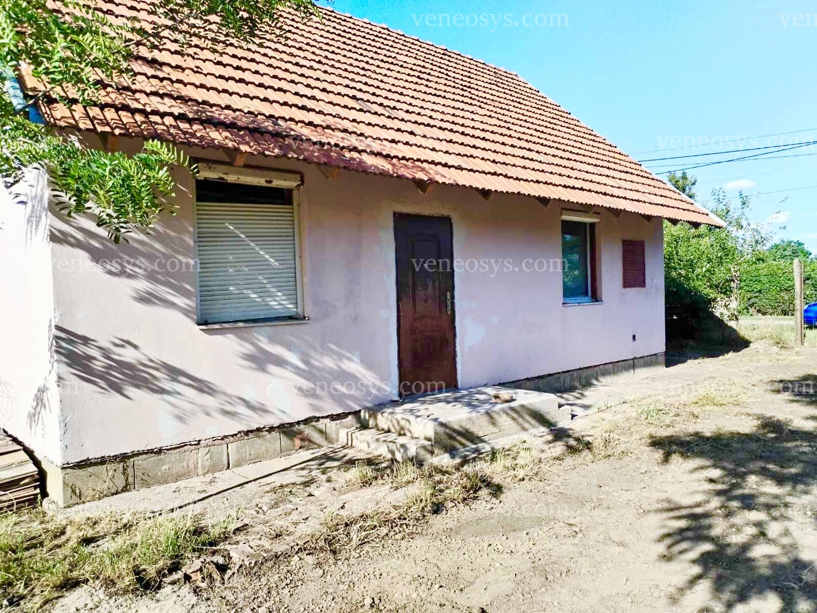 Kép 4