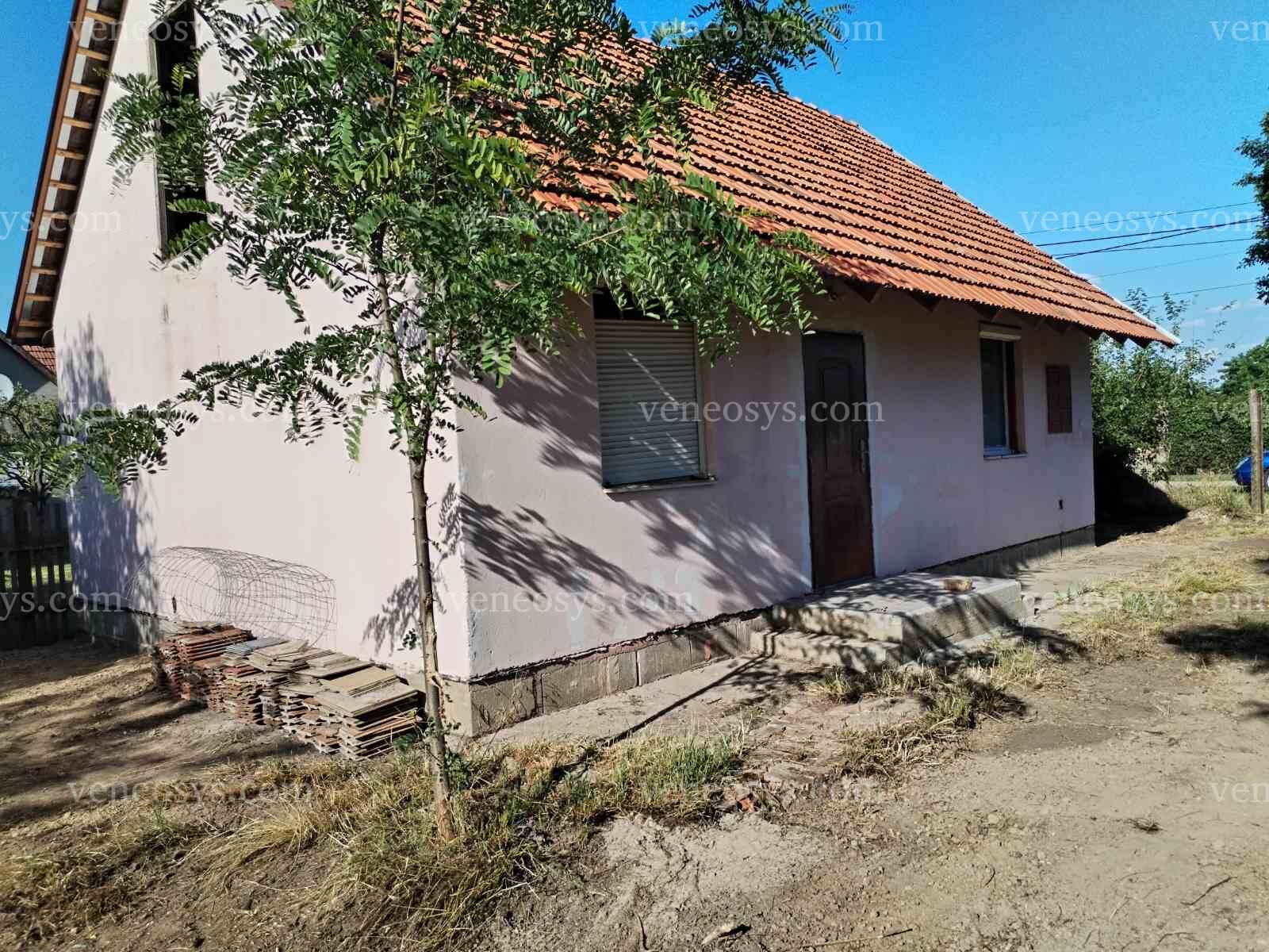 Kép 12
