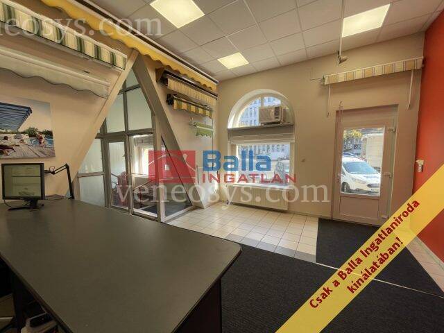Kép 7
