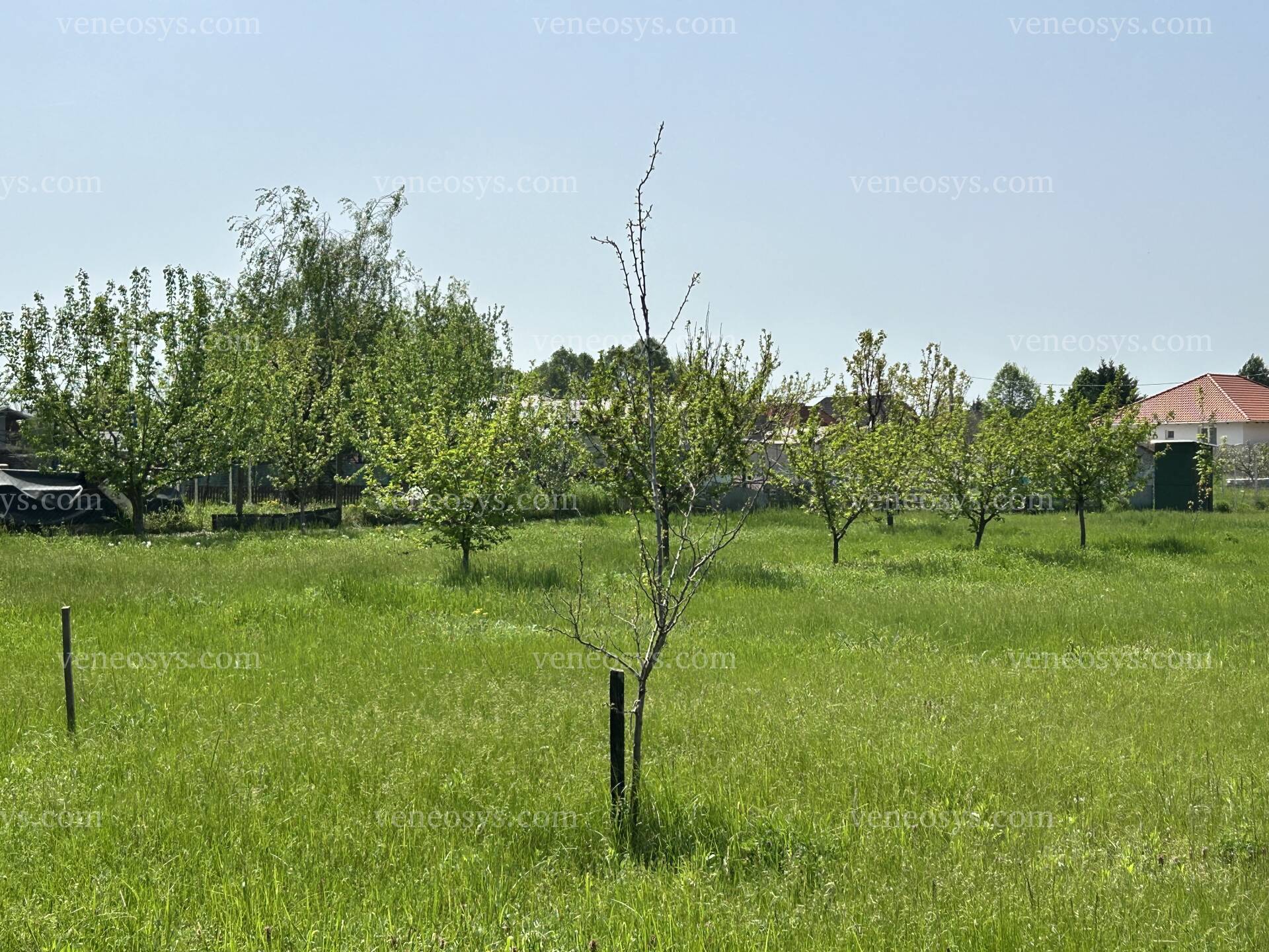 Kép 7