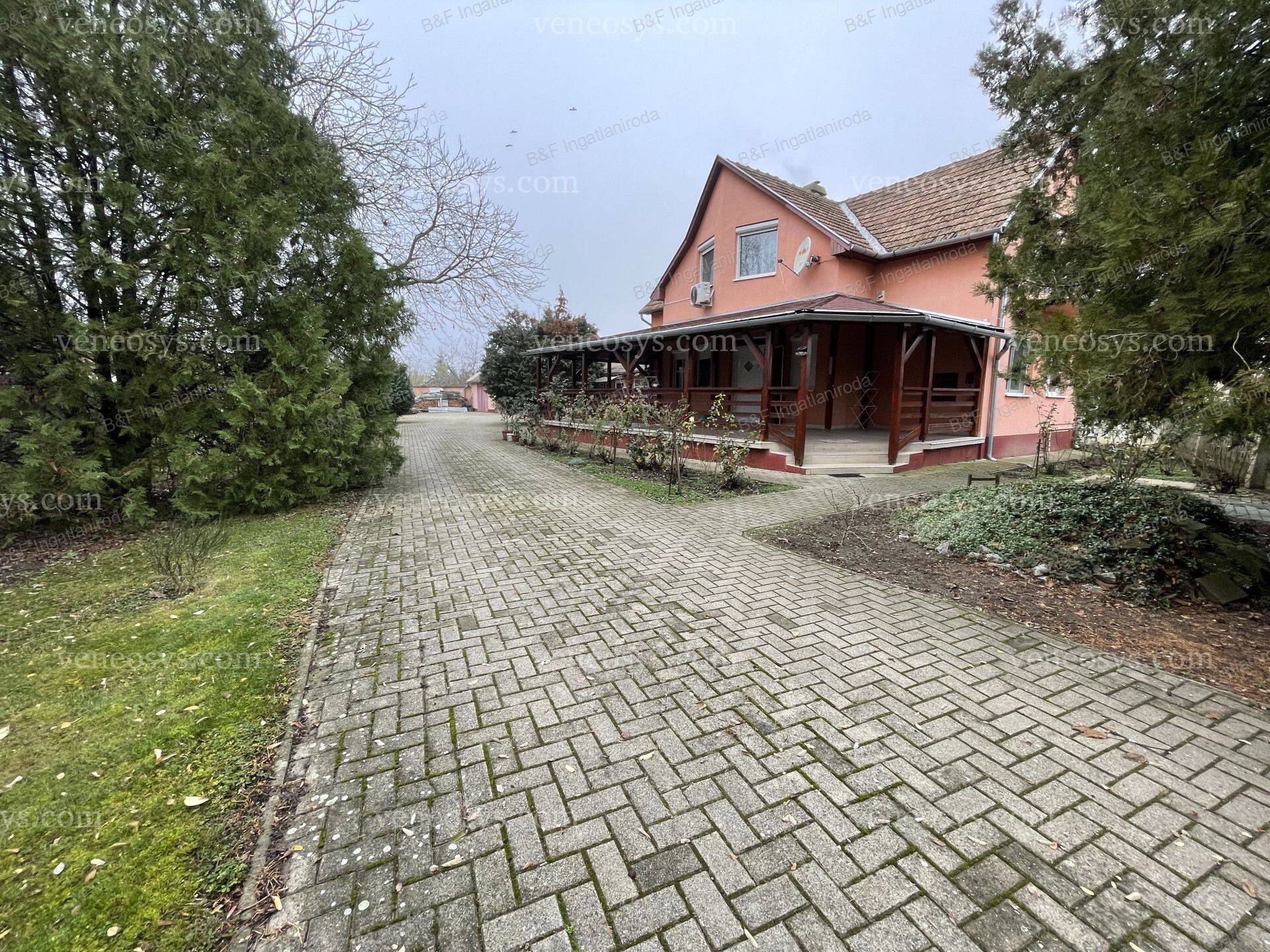 Kép 5