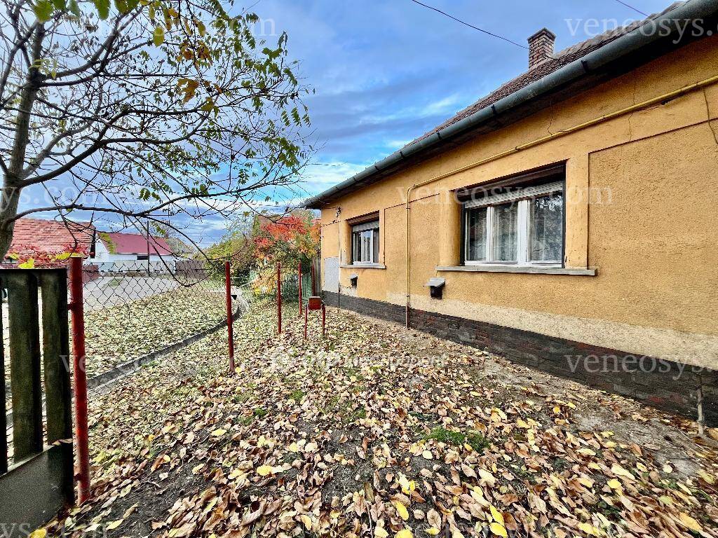 Kép 2