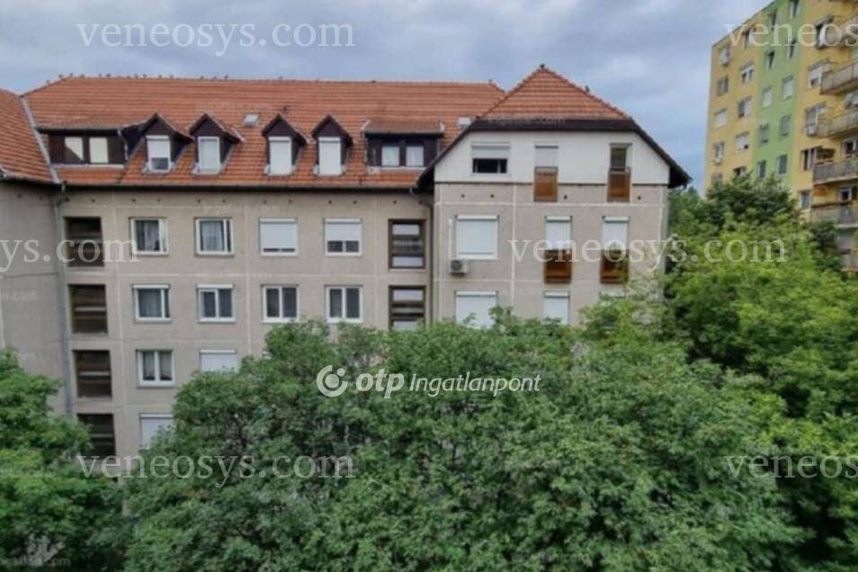Kép 2