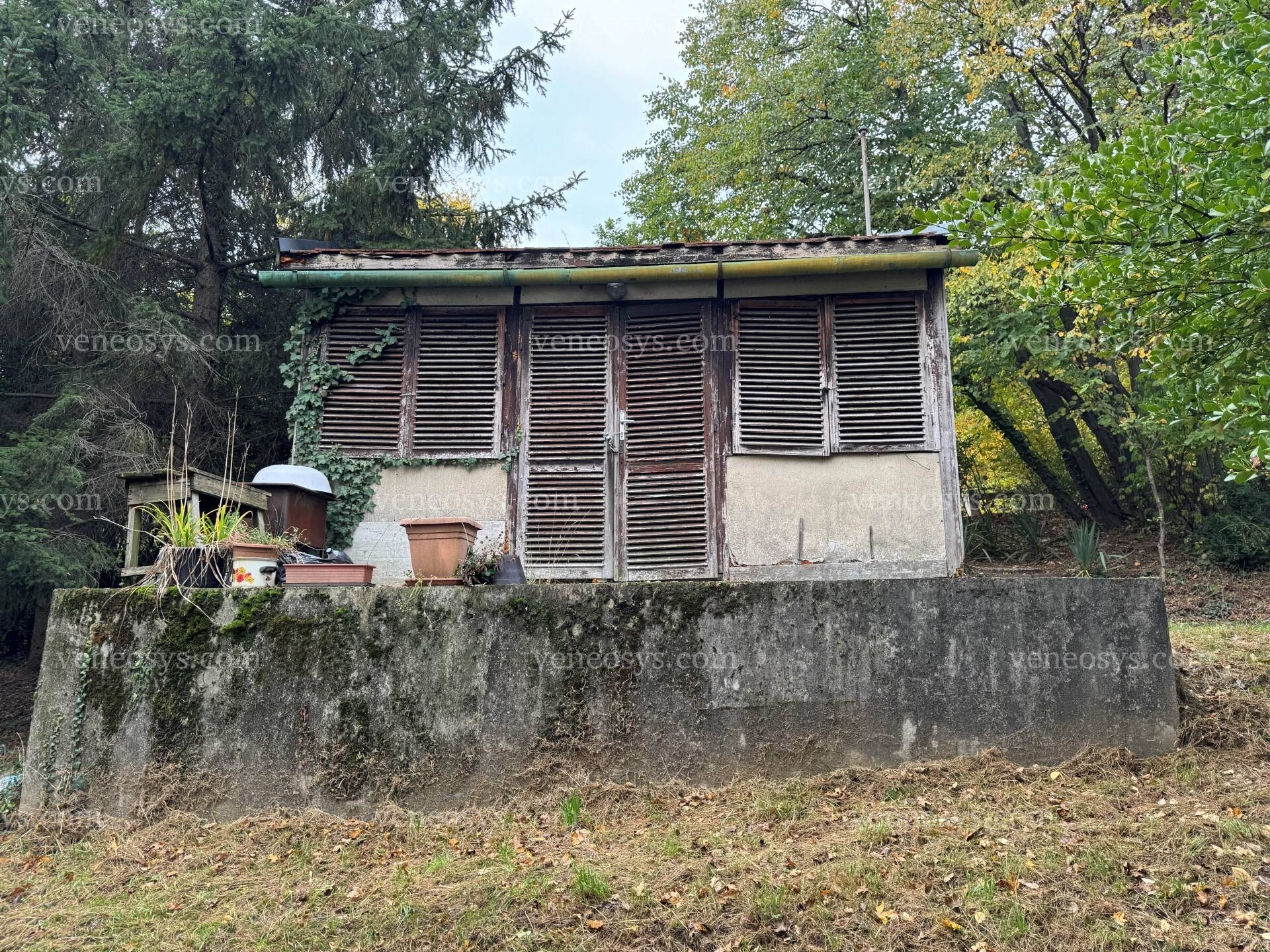 Kép 6