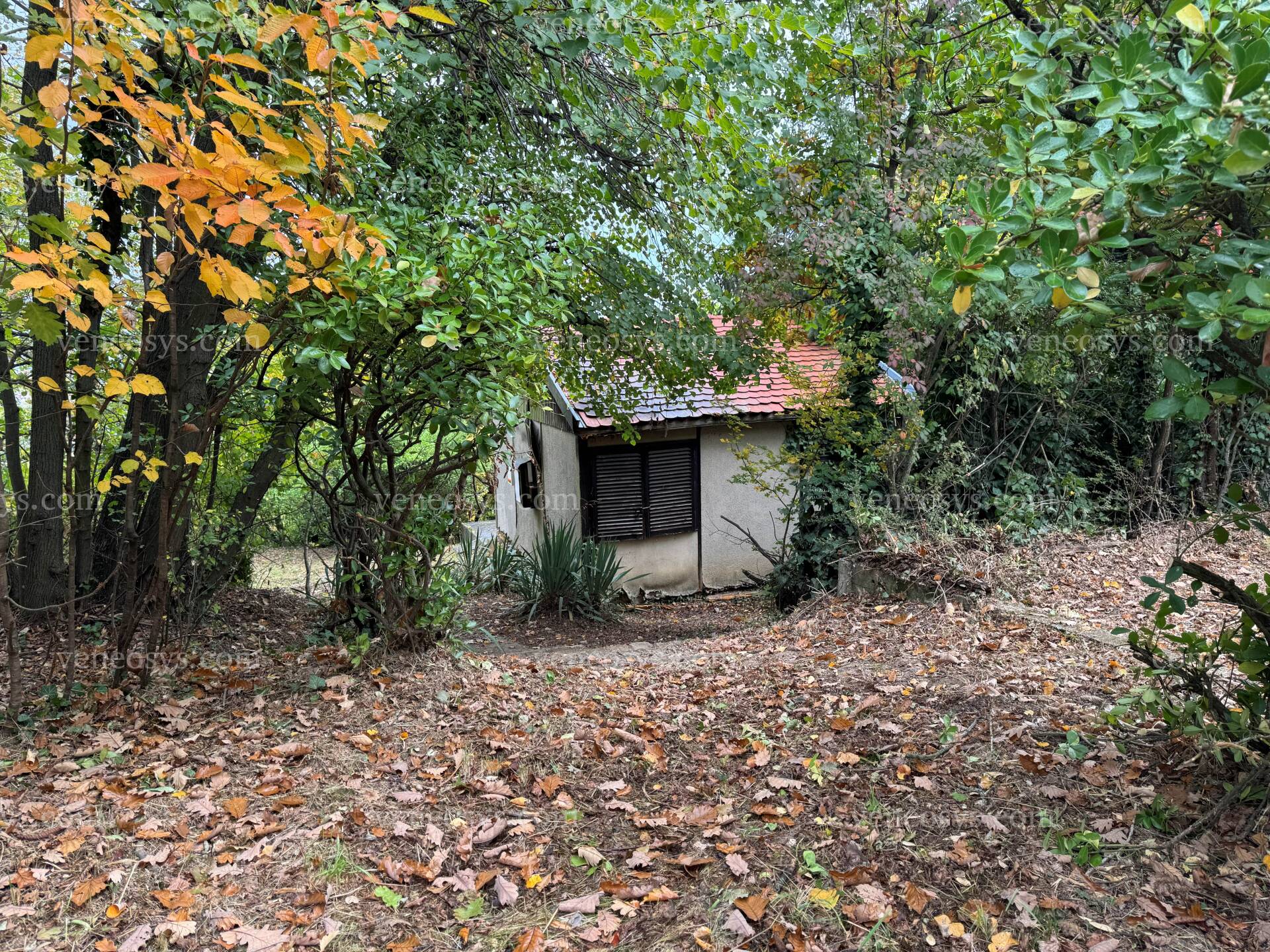 Kép 5