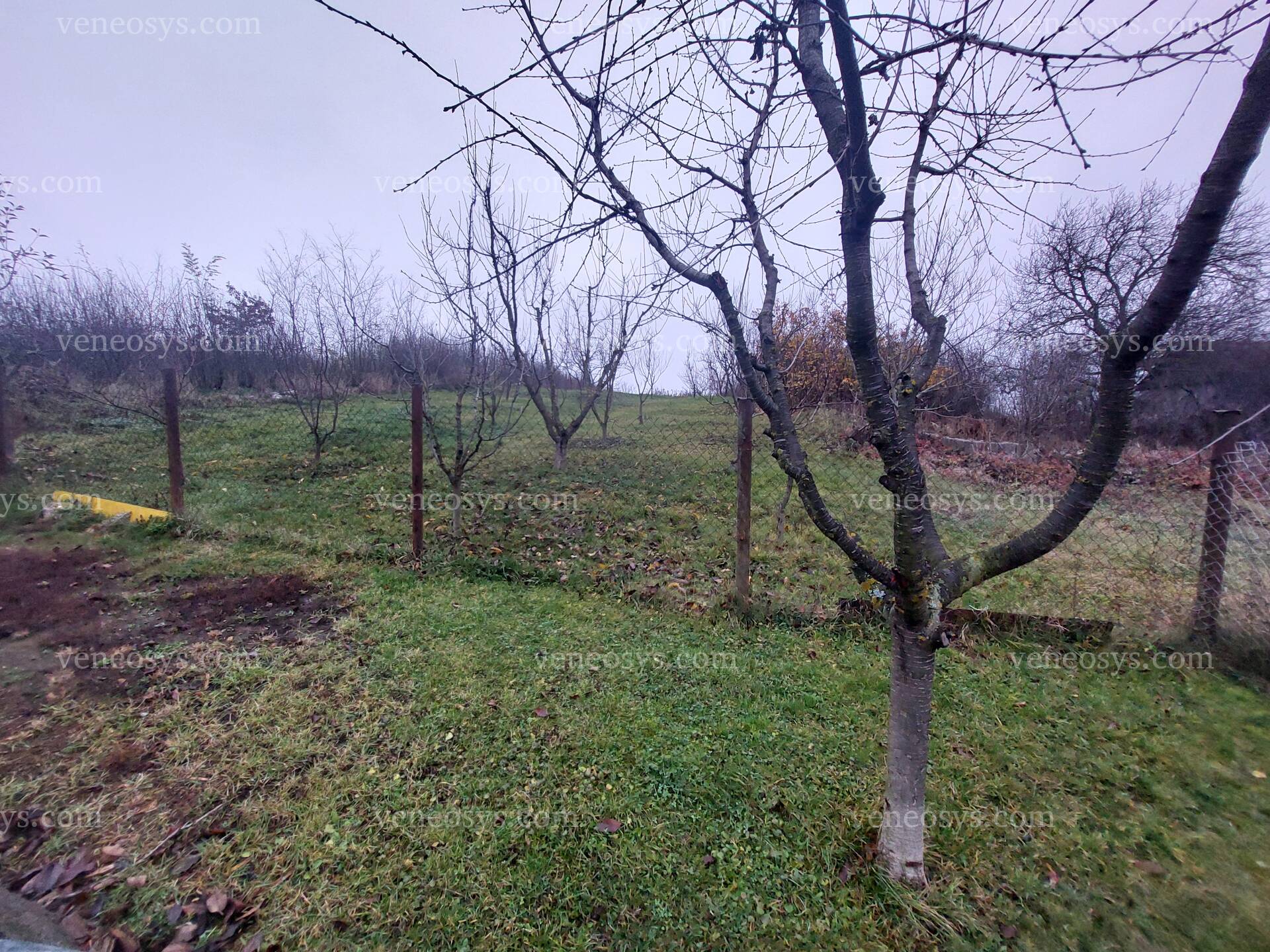Kép 17