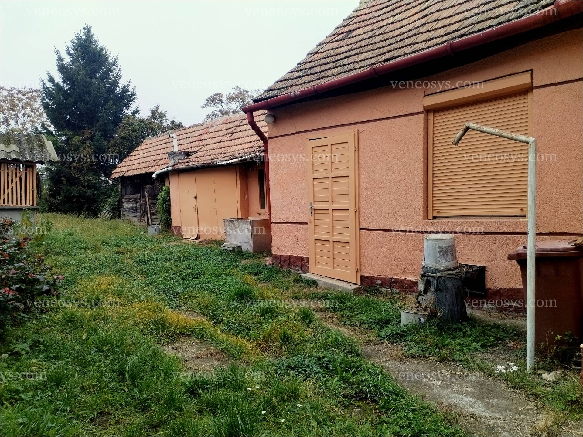 Kép 11