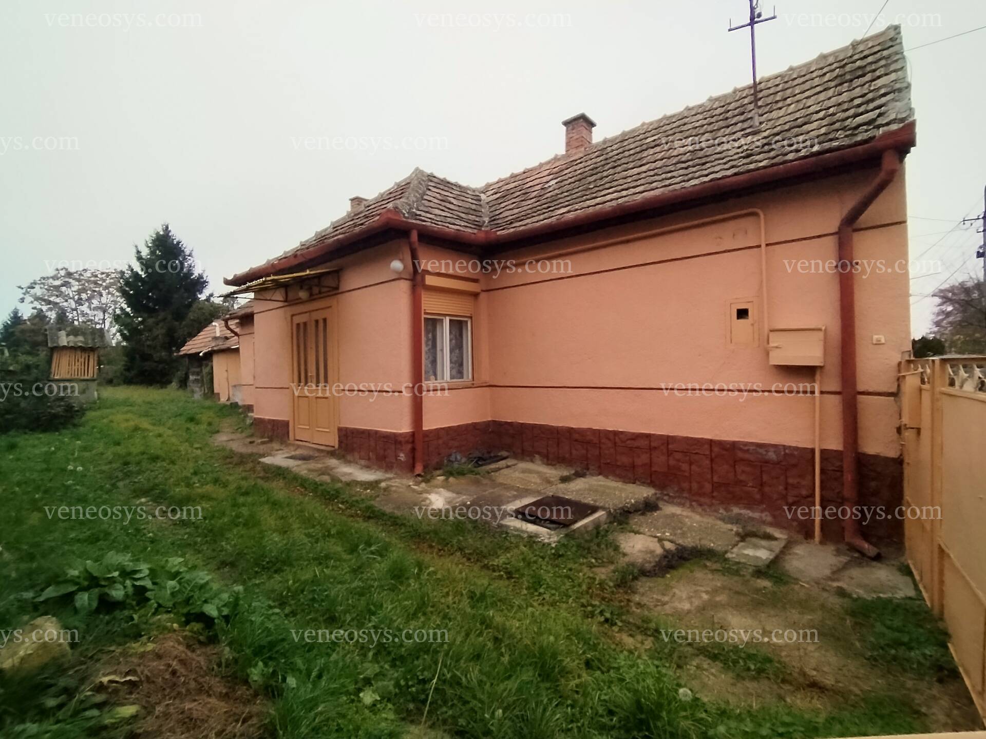 Kép 13