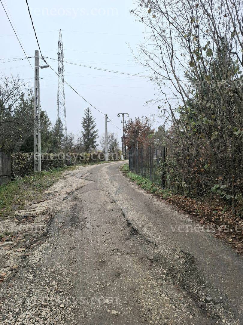 Kép 4