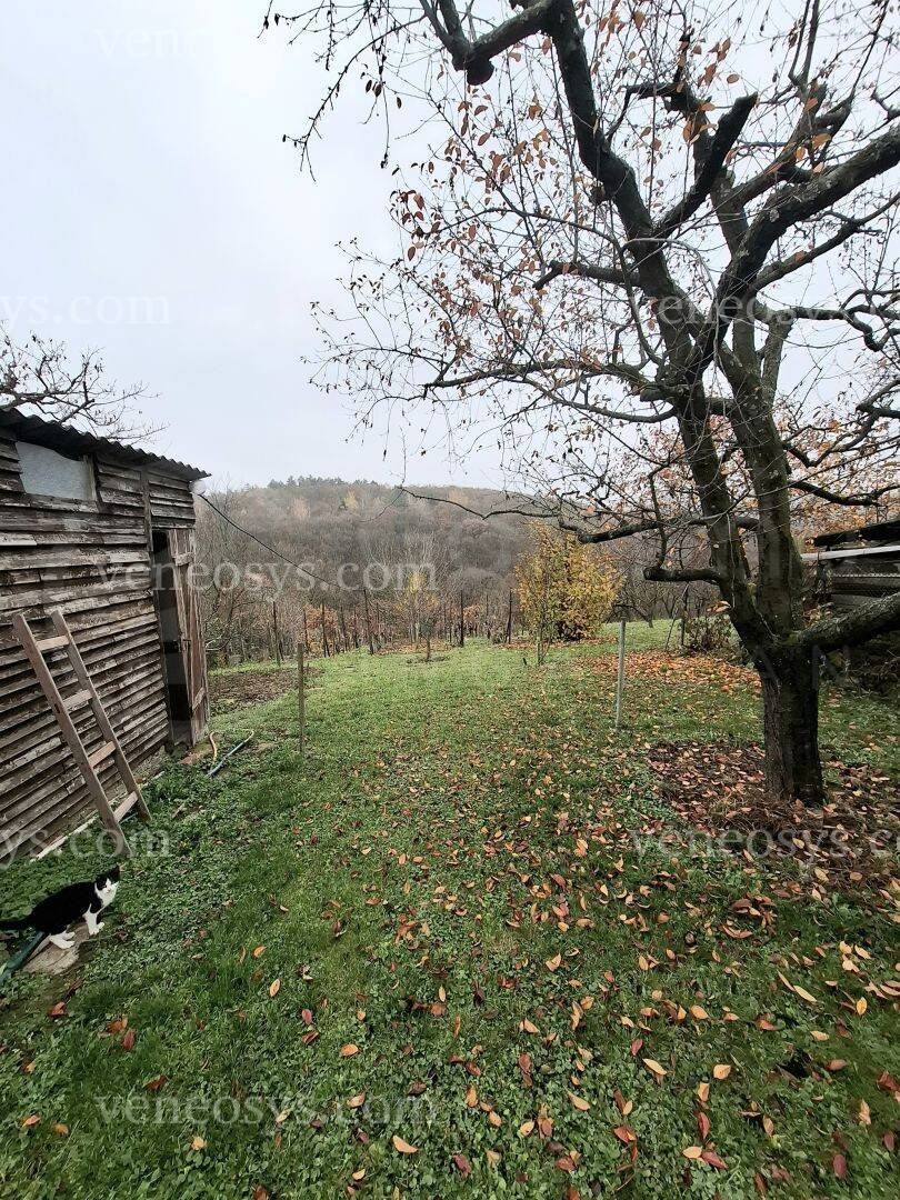 Kép 5