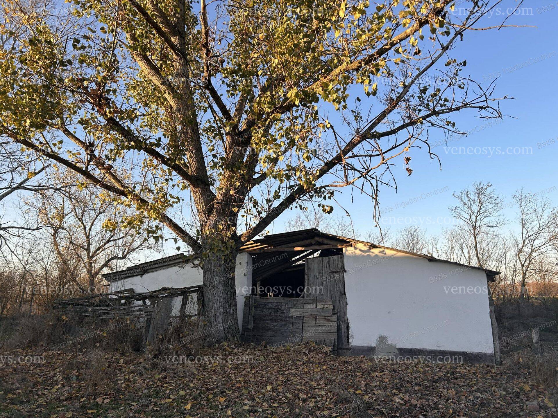 Kép 16